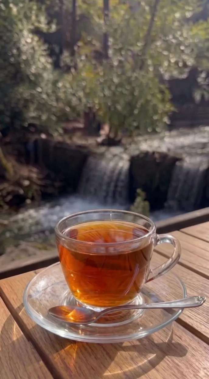 Fincan Çay