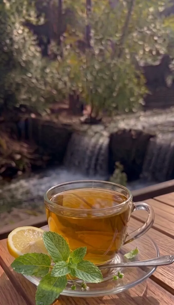 Nane Limon
