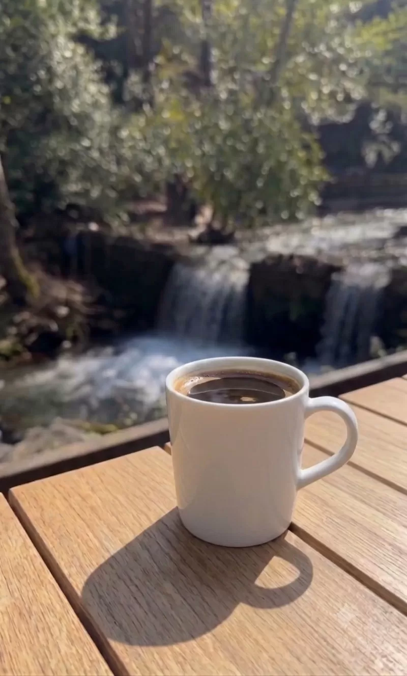 Sade Nescafe