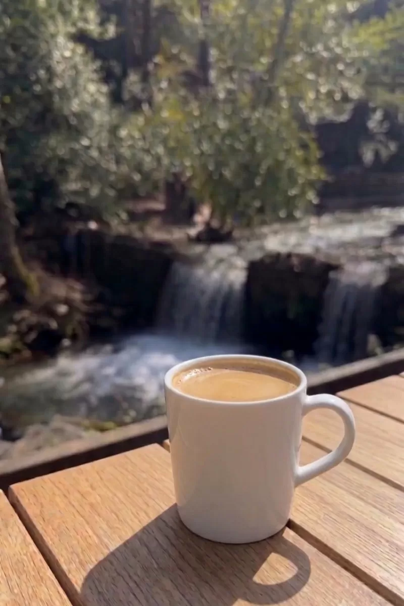 Sütlü Nescafe